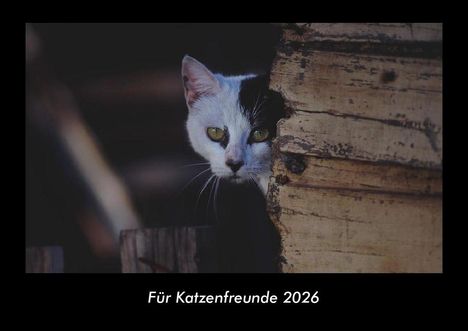 Tobias Becker: Für Katzenfreunde 2026 Fotokalender DIN A3, Kalender
