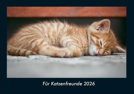 Tobias Becker: Für Katzenfreunde 2026 Fotokalender DIN A4, Kalender