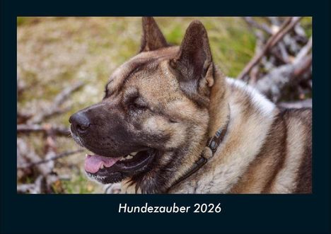 Tobias Becker: Hundezauber 2026 Fotokalender DIN A4, Kalender
