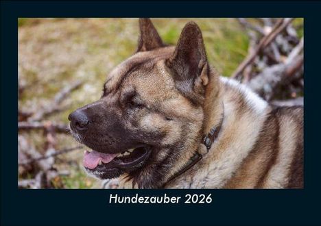 Tobias Becker: Hundezauber 2026 Fotokalender DIN A5, Kalender