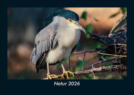 Tobias Becker: Natur 2026 Fotokalender DIN A5, Kalender