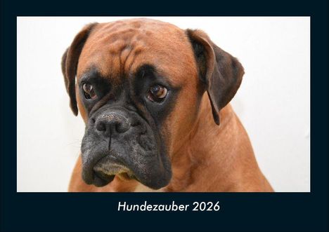 Tobias Becker: Hundezauber 2026 Fotokalender DIN A4, Kalender