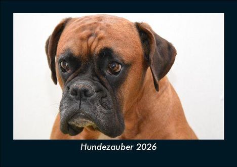 Tobias Becker: Hundezauber 2026 Fotokalender DIN A5, Kalender