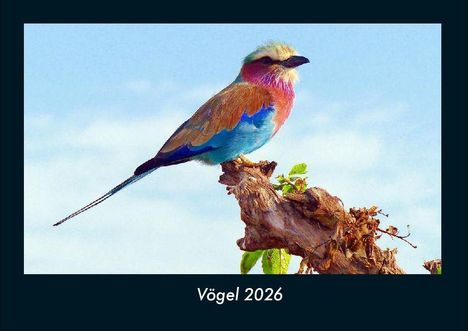 Tobias Becker: Vögel 2026 Fotokalender DIN A4, Kalender