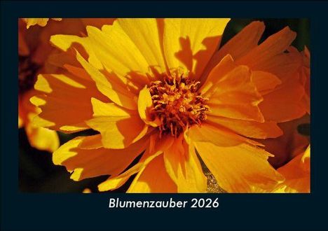 Tobias Becker: Blumenzauber 2026 Fotokalender DIN A5, Kalender
