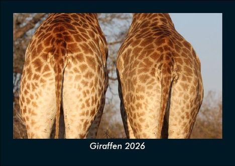Tobias Becker: Giraffen 2026 Fotokalender DIN A5, Kalender