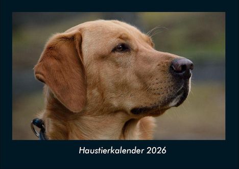 Tobias Becker: Haustierkalender 2026 Fotokalender DIN A4, Kalender