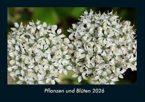 Tobias Becker: Pflanzen und Blüten 2026 Fotokalender DIN A4, Kalender