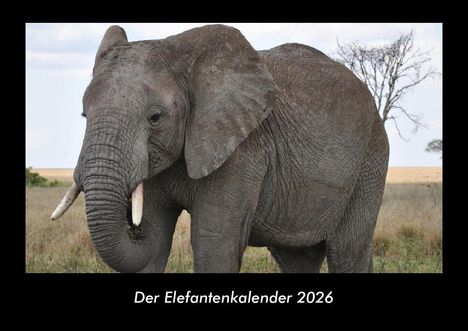Tobias Becker: Der Elefantenkalender 2026 Fotokalender DIN A3, Kalender