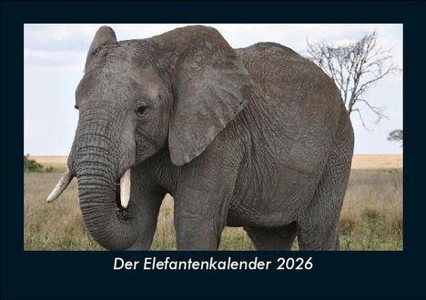 Tobias Becker: Der Elefantenkalender 2026 Fotokalender DIN A5, Kalender