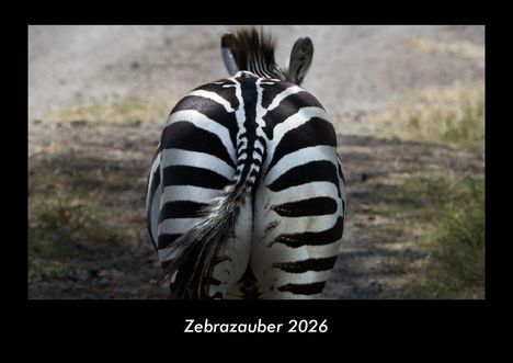 Tobias Becker: Zebrazauber 2026 Fotokalender DIN A3, Kalender
