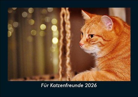 Tobias Becker: Für Katzenfreunde 2026 Fotokalender DIN A5, Kalender