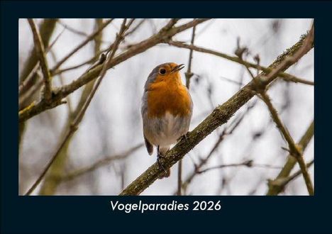 Tobias Becker: Vogelparadies 2026 Fotokalender DIN A5, Kalender