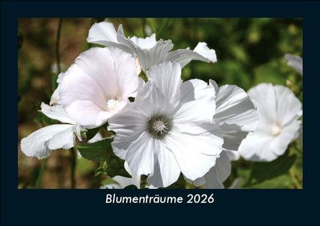 Tobias Becker: Blumenträume 2026 Fotokalender DIN A5, Kalender
