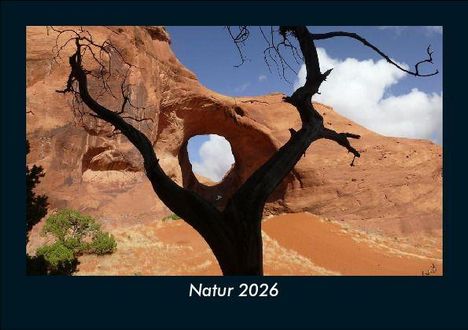 Tobias Becker: Natur 2026 Fotokalender DIN A5, Kalender