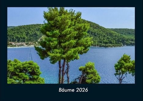 Tobias Becker: Bäume 2026 Fotokalender DIN A4, Kalender