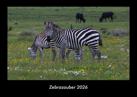 Tobias Becker: Zebrazauber 2026 Fotokalender DIN A3, Kalender