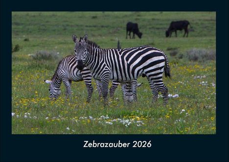 Tobias Becker: Zebrazauber 2026 Fotokalender DIN A4, Kalender