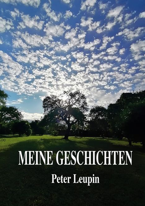 Peter Leupin: Meine Geschichten, Buch