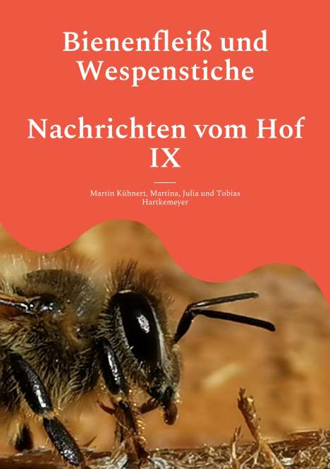 Martin Kühnert: Bienenfleiß und Wespenstiche - Nachrichten vom Hof IX, Buch