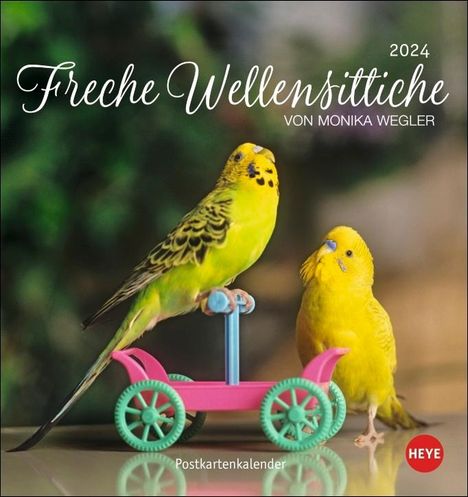 Wegler Monika: Wegler, M: Freche Wellensittiche Postkartenk. 2024, Kalender