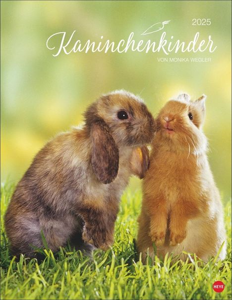 Kaninchenkinder Posterkalender 2025, Kalender