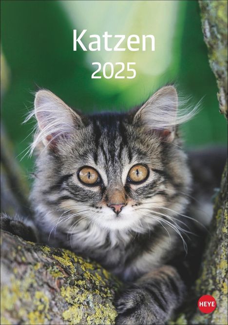 Katzen Kalender 2025, Kalender