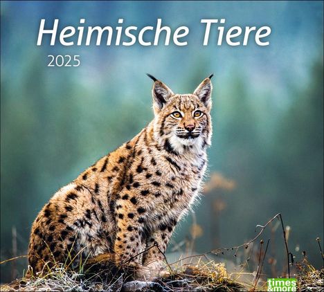 Heimische Tiere Bildkalender 2025, Kalender