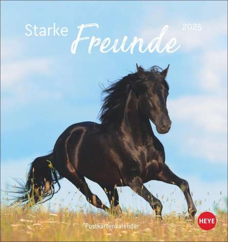 Pferde Postkartenkalender 2025 - Starke Freunde, Kalender