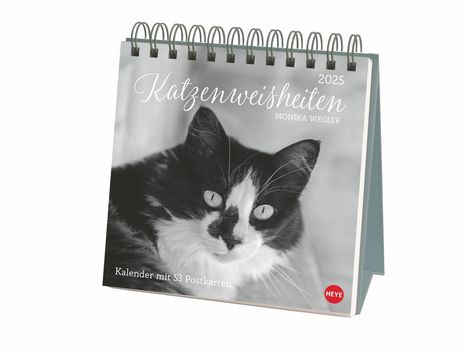 Monika Wegler: Katzen Weisheiten Premium-Postkartenkalender 2025, Kalender