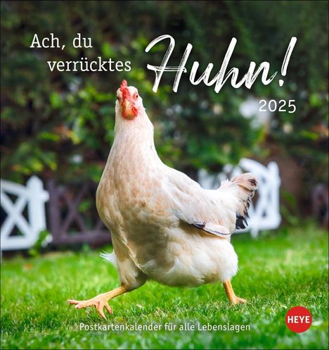 Hühner Postkartenkalender 2025 - Ach, du verrücktes Huhn!, Kalender