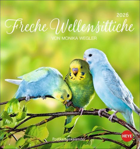 Freche Wellensittiche Postkartenkalender 2026, Kalender