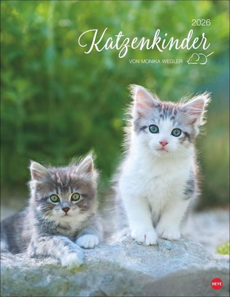 Katzenkinder Posterkalender 2026, Kalender