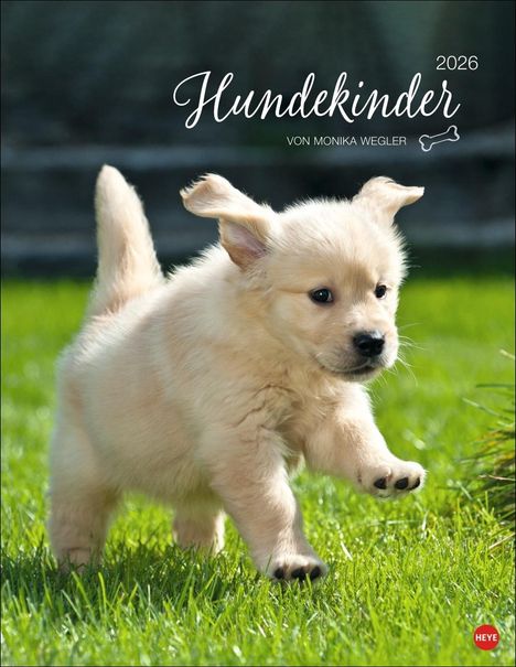 Hundekinder Posterkalender 2026, Kalender