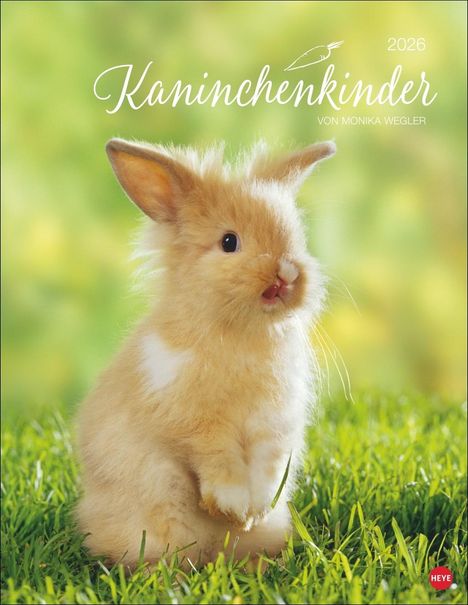 Kaninchenkinder Posterkalender 2026, Kalender