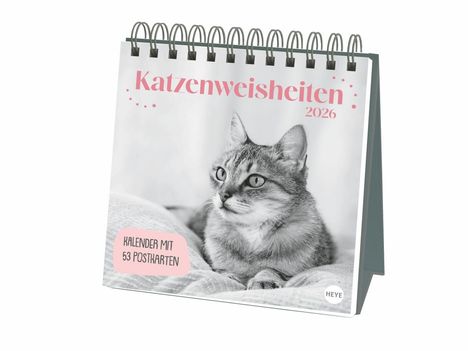 Katzen Weisheiten Premium-Postkartenkalender 2026, Kalender