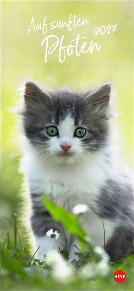 „Auf sanften Pfoten 2027“ in Schreibschrift. Junge Katze mit grauem Fell und grünen Augen im Gras. Heye-Logo.
