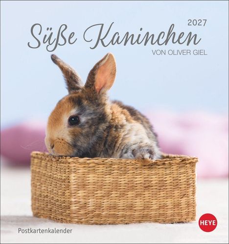 "Süße Kaninchen 2027 von Oliver Giel. Postkartenkalender. Ein Kaninchen sitzt in einem geflochtenen Korb. Heye-Logo."