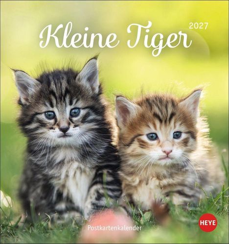 "Kleine Tiger 2027" und "Postkartenkalender". Zwei Kätzchen sitzen im Gras. "HEYE"-Logo unten rechts.