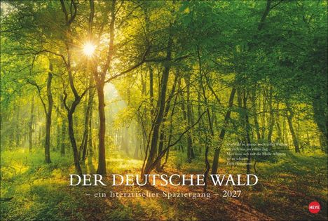 "DER DEUTSCHE WALD – ein literarischer Spaziergang – 2027". Sonnenstrahlen durchfluten einen dichten, grünen Wald.