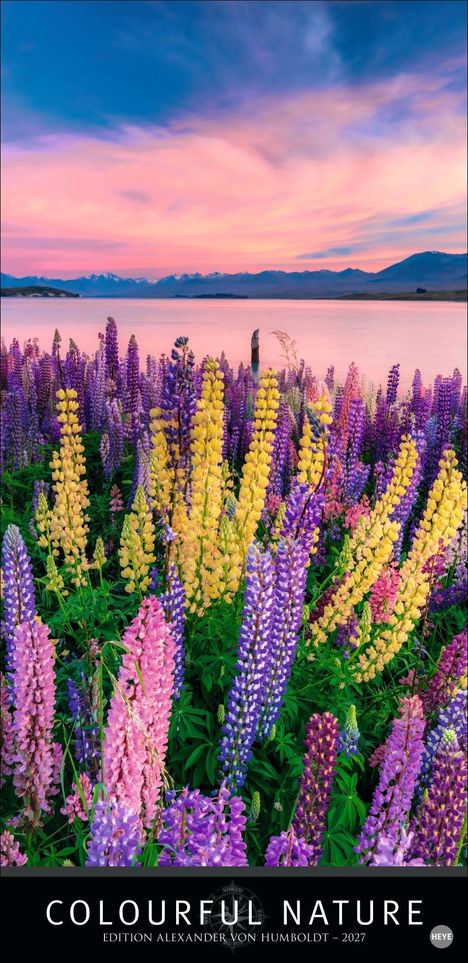 "COLOURFUL NATURE, Edition Alexander von Humboldt - 2027." Bunte Lupinen vor einem See mit Bergen im Hintergrund, rosa Himmel.