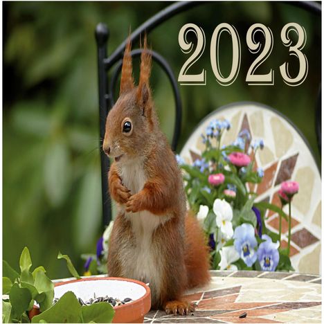 Elke Lützner: Kalender 2023 - Eichhörnchen, Buch