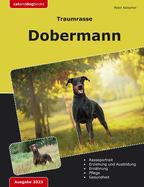 "Traumrasse Dobermann. Ausgabe 2023. Rasseporträt, Erziehung, Pflege. Stehender Dobermann im Park bei Sonnenlicht."
