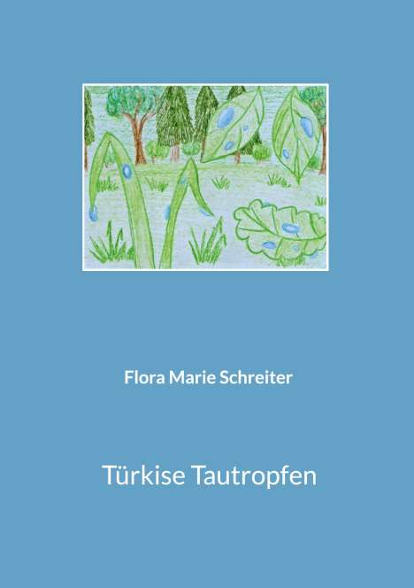 Flora Marie Schreiter: Türkise Tautropfen, Buch