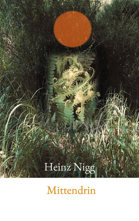 Heinz Nigg: Mittendrin, Buch