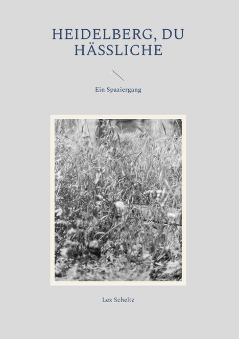 Lex Scheltz: Heidelberg, Du Hässliche, Buch