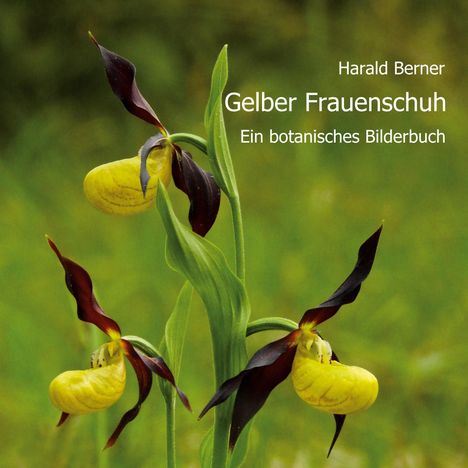 Harald Berner: Gelber Frauenschuh, Buch