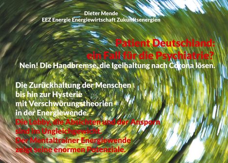 Dieter Mende: Patient Deutschland: ein Fall für die Psychiatrie? Nein! Die Handbremse, die Igelhaltung nach Corona lösen., Buch