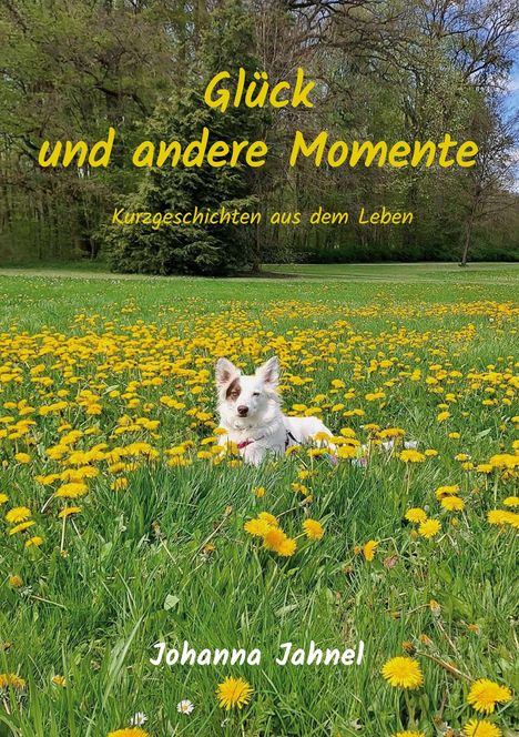 Johanna Jahnel: Glück und andere Momente, Buch