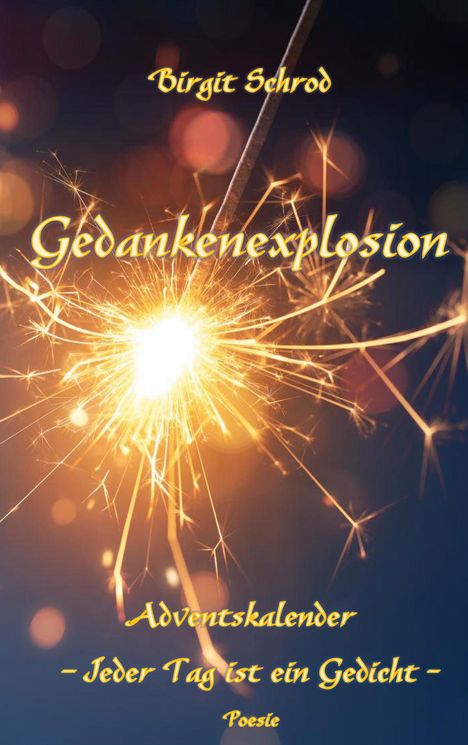 Birgit Schrod: Gedankenexplosion, Buch